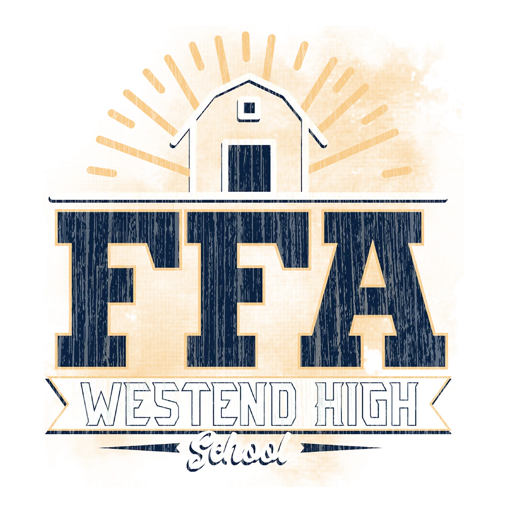 HS085